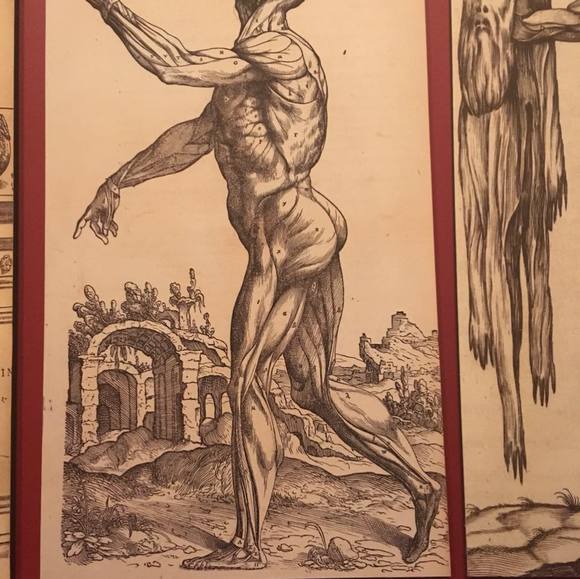 Meet your Posher, Bruce - Picture 1 of 1